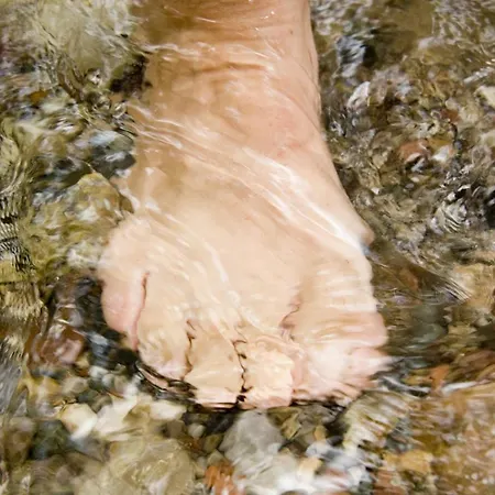 Mountain Fresh - Alpine Easy ゲストハウス