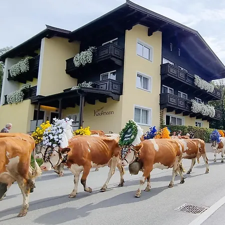 Guest house Mountain Fresh - Alpine Easy 3*