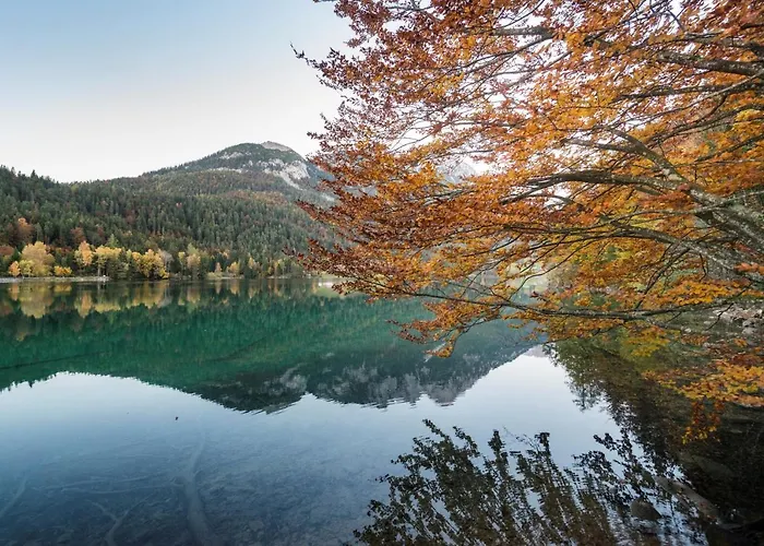 Pensión Mountain Fresh - Alpine Easy