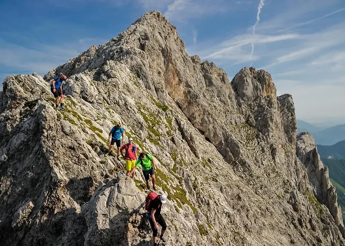 Mountain Fresh - Alpine Easy