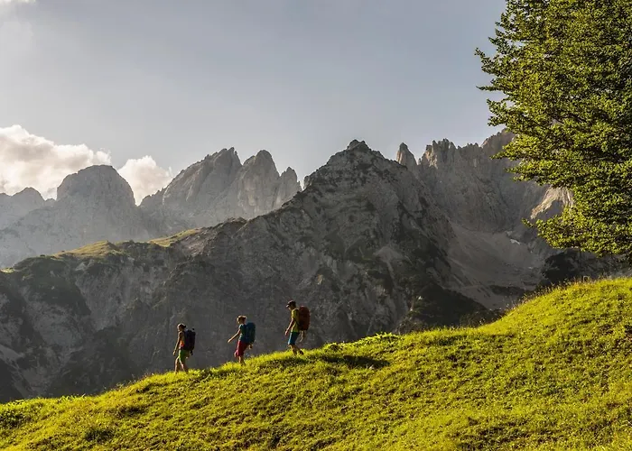 Mountain Fresh - Alpine Easy