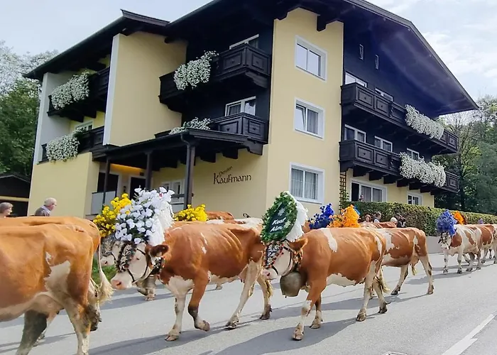 Pensión Mountain Fresh - Alpine Easy 3*