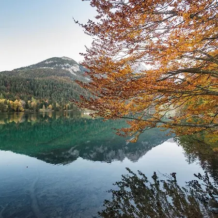 Vendégház Mountain Fresh - Alpine Easy