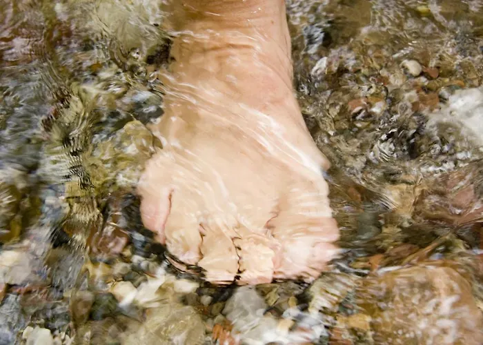 Mountain Fresh - Alpine Easy Casa de hóspedes